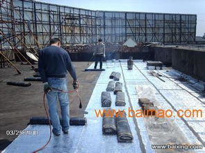 南昌房屋建筑防水堵漏與屋頂瓦面補漏 專業(yè)解決方案與市場指南